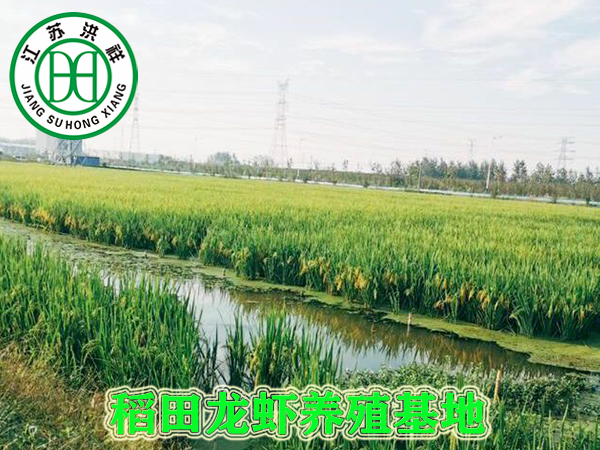 塘口養(yǎng)殖基地